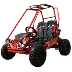 Trailmaster Mini XRX+ 2- Seater GO-KART EAGLE SERIES 163cc Blues.