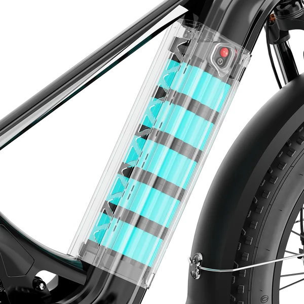 a6-32-1-1-1.webp Aipas M2 Xterrain Ebike Aipas-M2-black Baskets. - Image 7