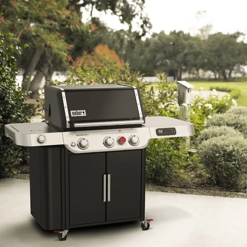 j2-3-1-1-1.webp Weber Genesis EX-335 Smart Gas Grills - Image 3