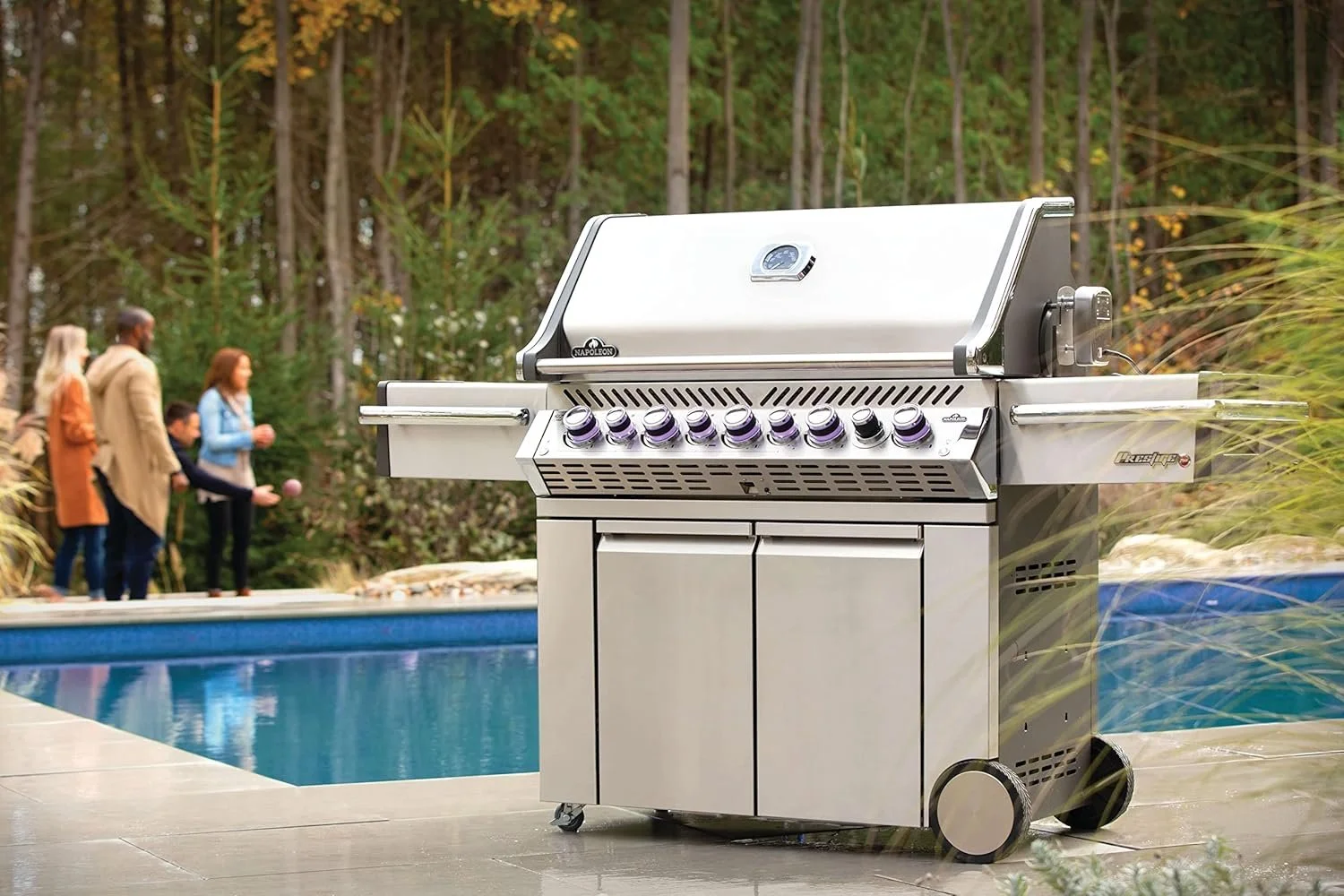 n3-1-1-1-1.webp Napoleon Prestige 665 5-Burner Propane Grills - Image 2