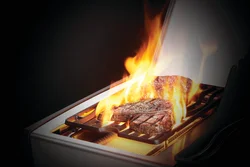 w3-3-1-1-1.webp Napoleon Rogue SE 425 Gas Grills - Image 2